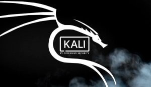 Корисні приклади команд у Kali Linux: стеганографія, cmatrix та dmitry
